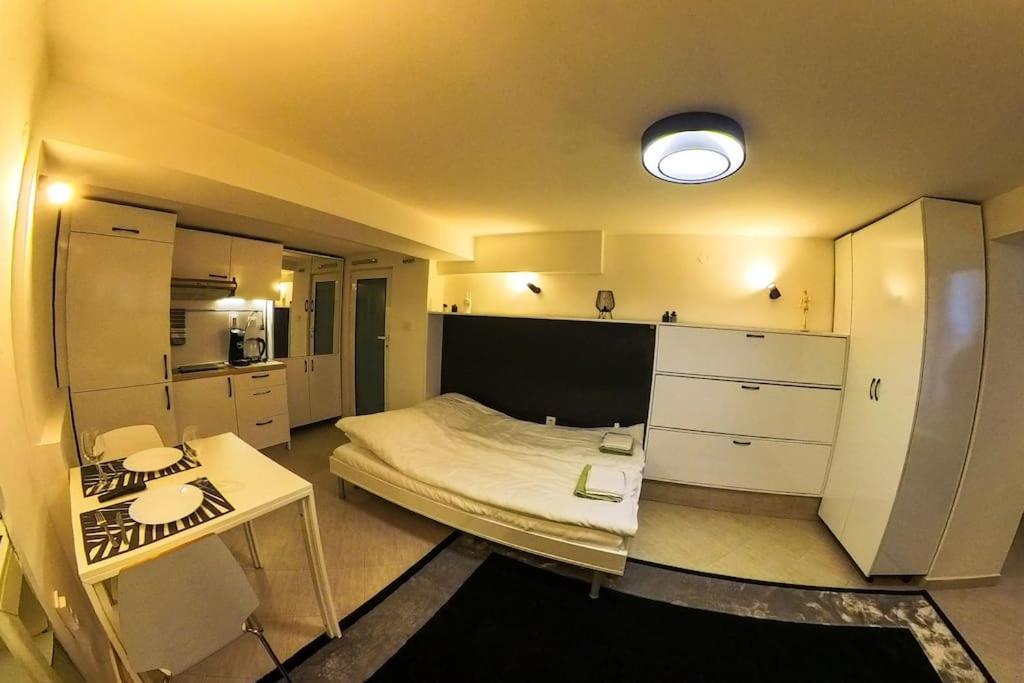 Studio With Courtyard Just Steps Away Vitosha Str Sofia Exteriör bild